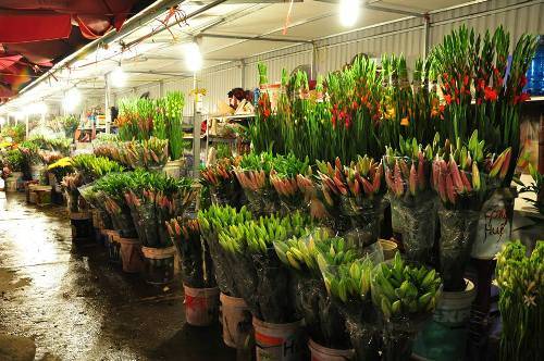 Chợ hoa đêm Quảng Bá rực rỡ khi đi du lịch Hà Nội