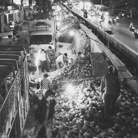 Trải nghiệm du lịch Hà Nội đi chợ đầu mối Long Biên sáng sớm