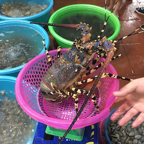 Tôm hùm tươi ngon Đà Nẵng