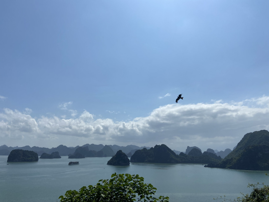 Phong cảnh vịnh Hạ Long từ đảo Ti Tốp