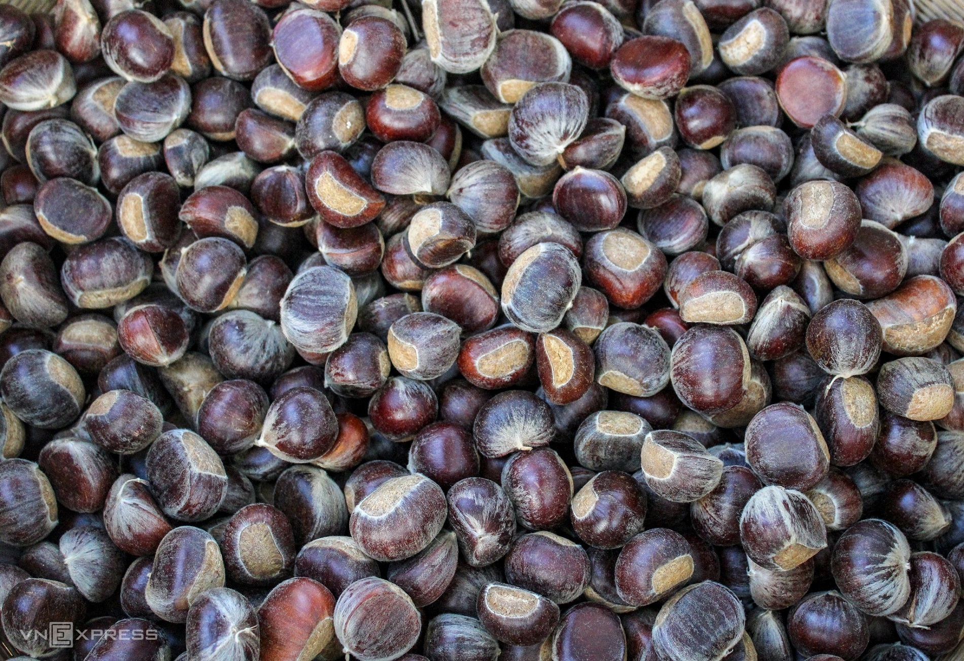 Hạt dẻ Trùng Khánh đặc sản Cao Bằng