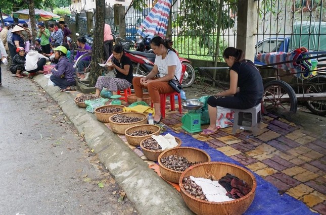 Hạt dẻ Trùng Khánh bày bán tại chợ