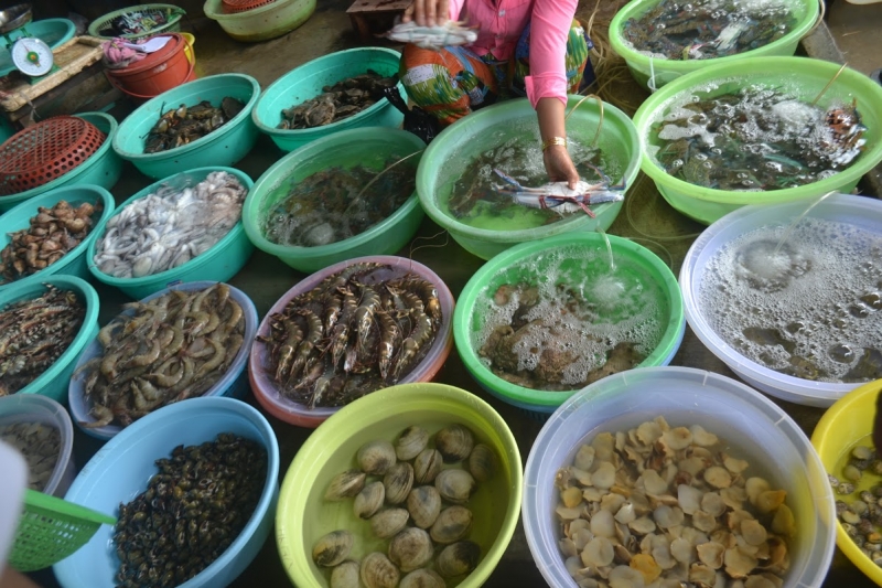 Hải sản Ninh Thuận - đặc sản Ninh Thuận