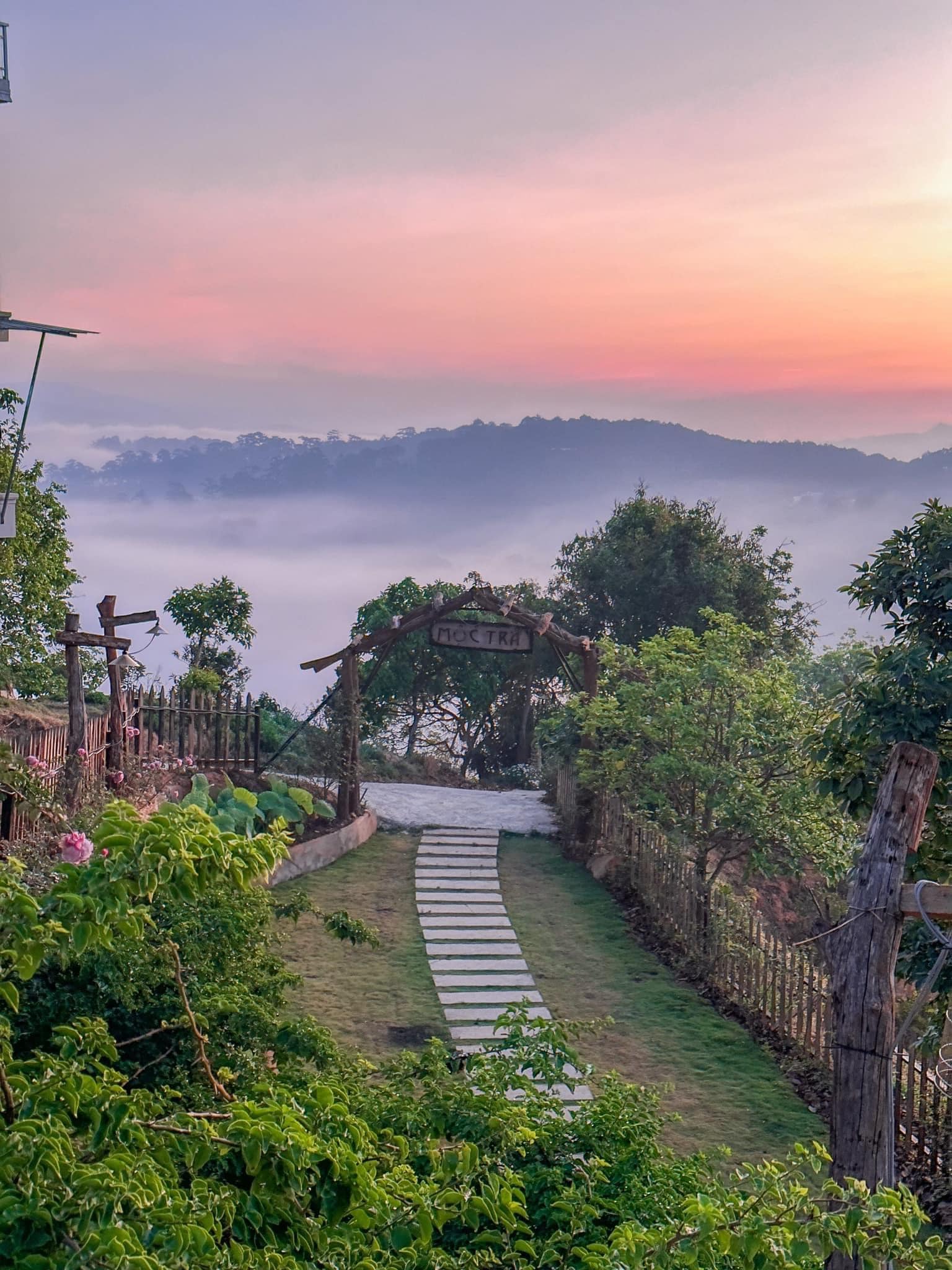 Cảnh quan vườn hồng Mộc Trà Farm
