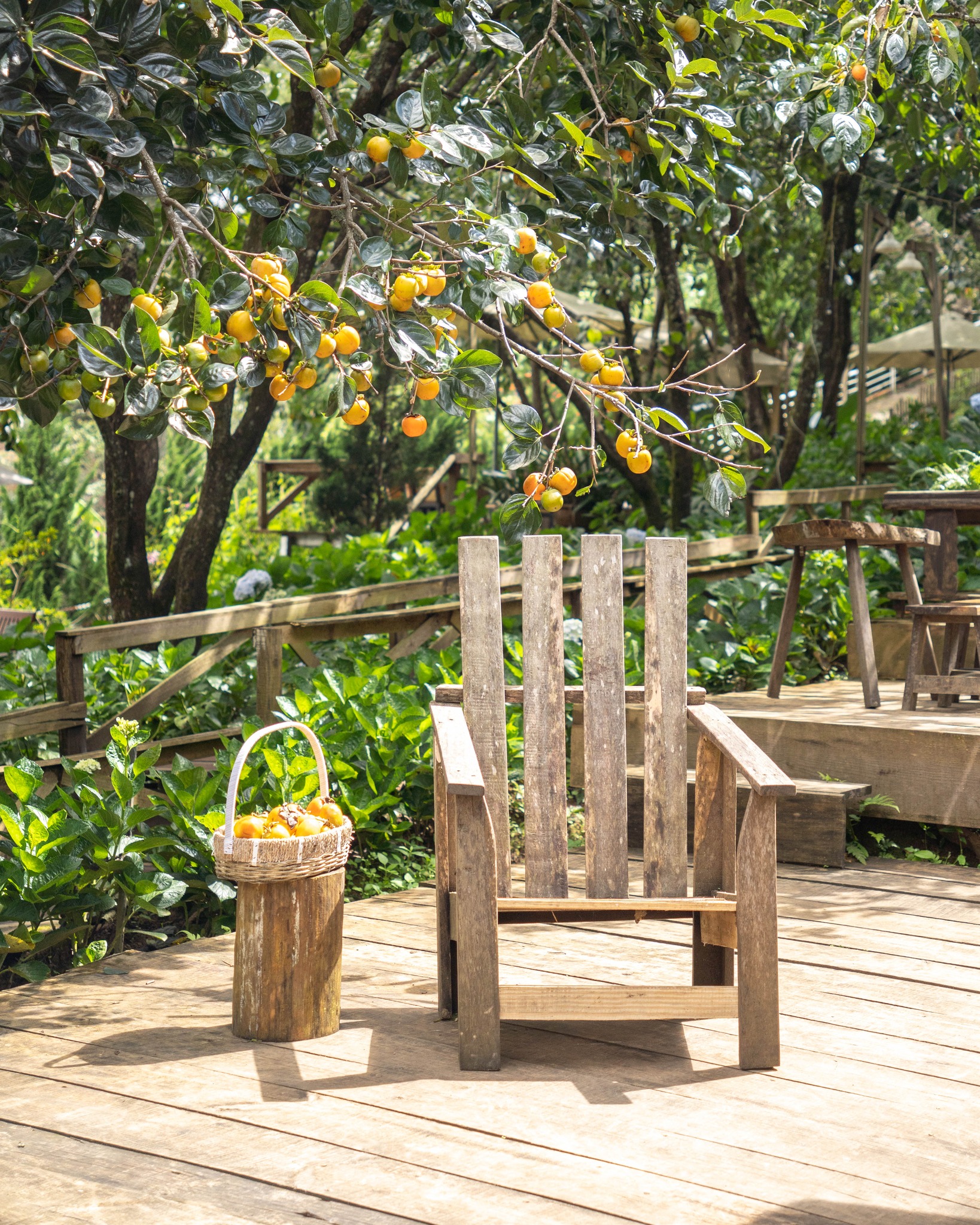 Không gian Persimmon Cafe Đà Lạt