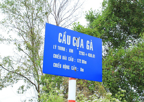 Hinh-02-Cau-Cua-Ga-6912-1429284114