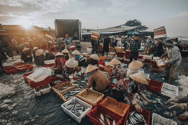 Hình ảnh bình dị tại cảng cá Bà Rịa Vũng Tàu - Cảng cá Long Hải lúc bình minh