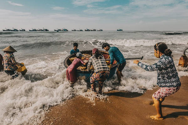 Làng chài Phước Hải - cảng cá Bà Rịa Vũng Tàu