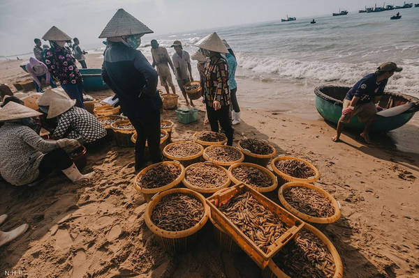 Tiểu thương thu mua hải sản tại cảng cá Bà Rịa
