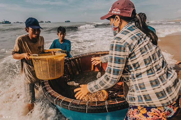 Công việc gấp gáp tại cảng cá Bà Rịa Vũng Tàu