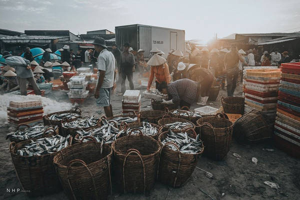 Ngư dân phân loại cá tại cảng cá Bà Rịa Vũng Tàu