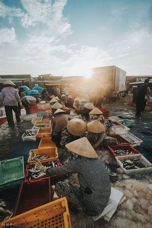 Phụ nữ phân loại cá tại cảng cá Bà Rịa Vũng Tàu