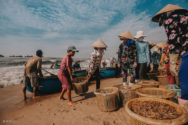 Hình ảnh bình dị trên cảng cá Bà Rịa – Vũng Tàu