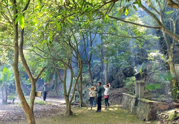 Hoa Quả Sơn là vùng đất bạt ngàn cây xanh và cây ăn quả