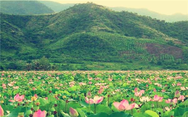 Cảnh sắc mộc mạc hoang sơ níu chân những tâm hồn yêu thiên nhiên