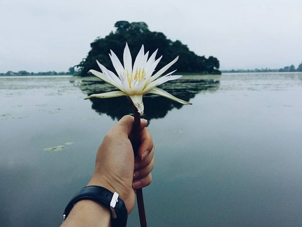 @minhphuc309