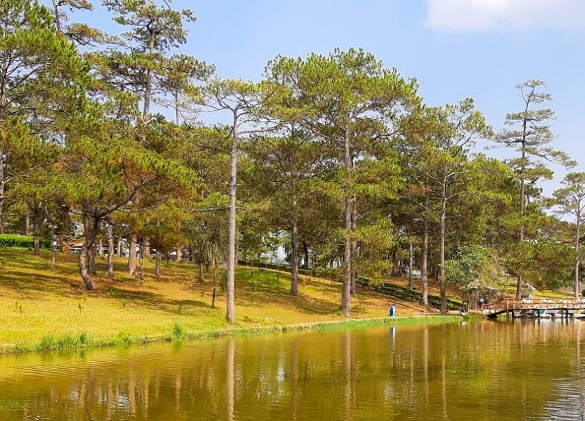 Vẻ đẹp trữ tình của Hồ Than Thở Đà Lạt