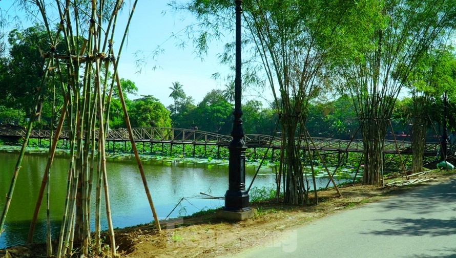 Hàng tre xanh mát rượi bên trong khuôn viên hồ Tịnh Tâm
