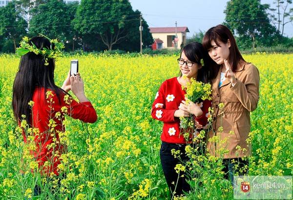 Sắc vàng rực rỡ của mùa hoa cải ngoại thành Hà Nội