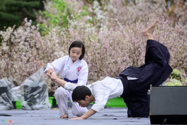 Hoạt động biểu diễn võ thuật Aikido Nhật Bản sôi động thu hút người xem