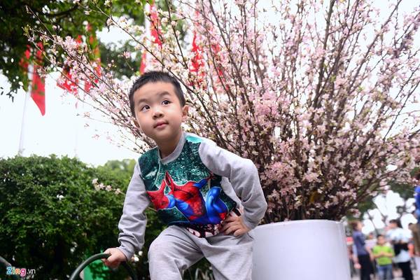 Em bé hào hứng tạo dáng dễ thương bên những nhành hoa anh đào khoe sắc