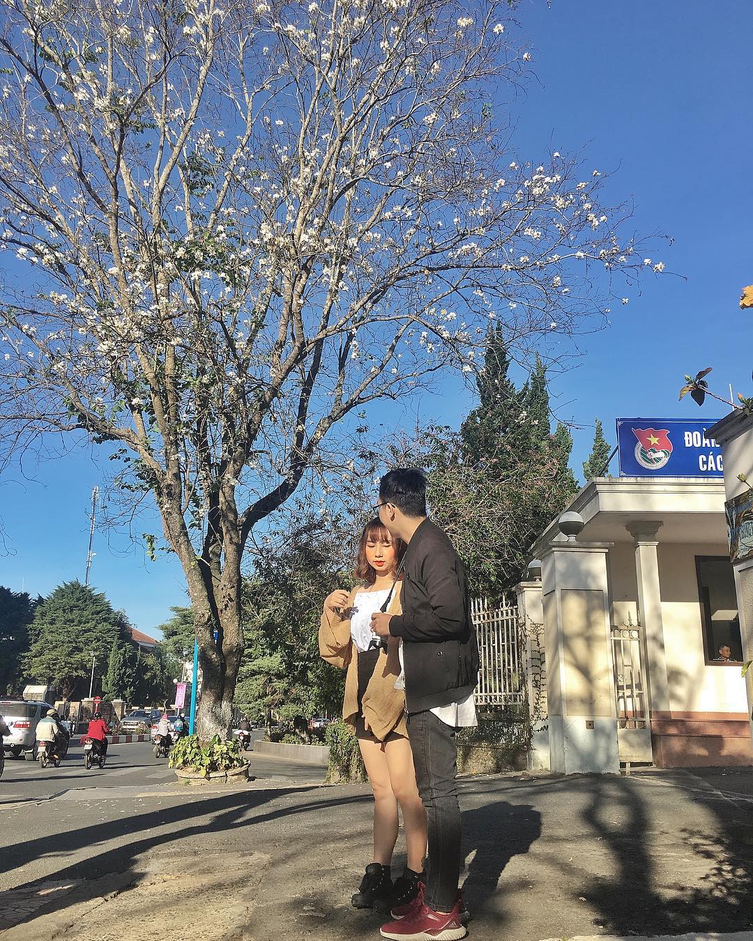 Đường phố Đà Lạt với hoa ban trắng