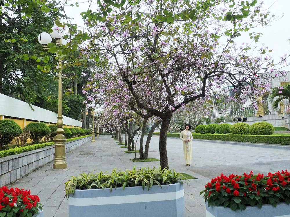 Ảnh: Minh Hải TV