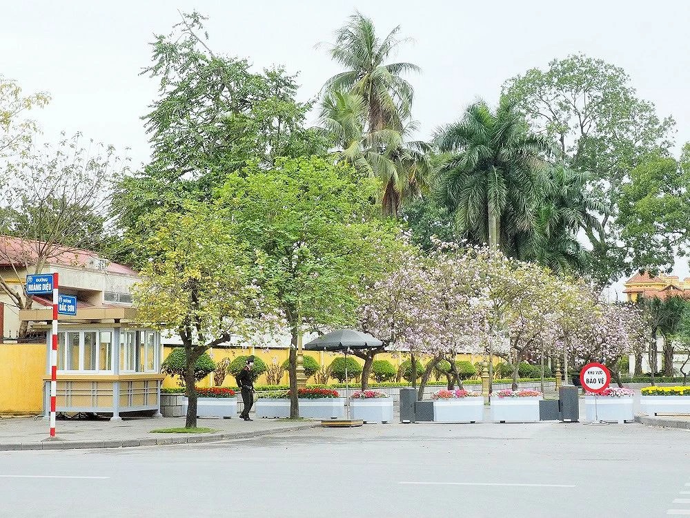 Ảnh: vietnammoi