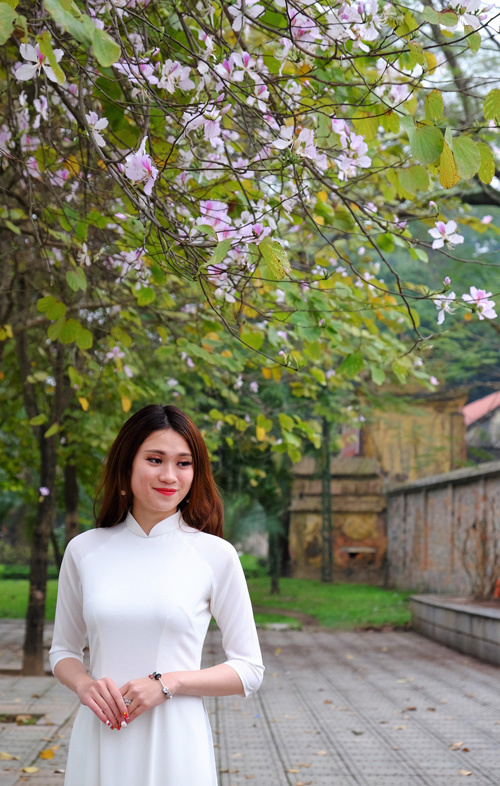 Bạn nên tranh thủ những ngày trong tuần, bởi càng cuối tuần số lượng người chụp hoa có thể còn đông hơn nhiều.