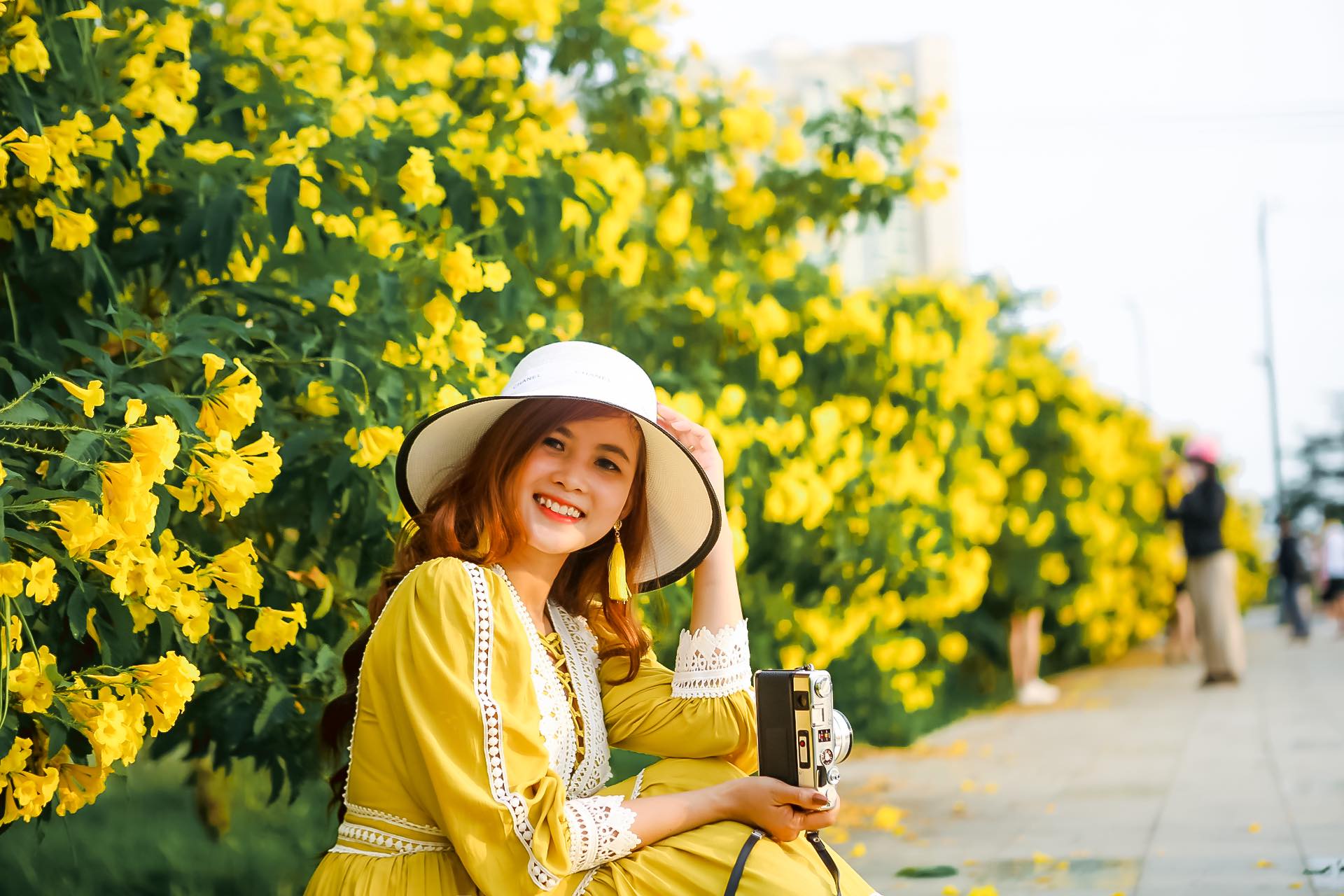 Thảm hoa Chuông Vàng Sài Gòn đẹp mắt
