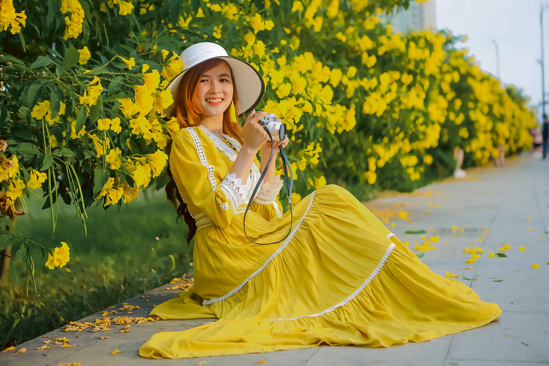 Hoa Chuông Vàng Sài Gòn nở vàng rực ven đường sắt
