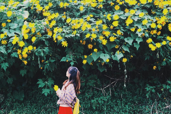 Ảnh:@_phganh