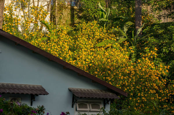 Ảnh: khanhfoto