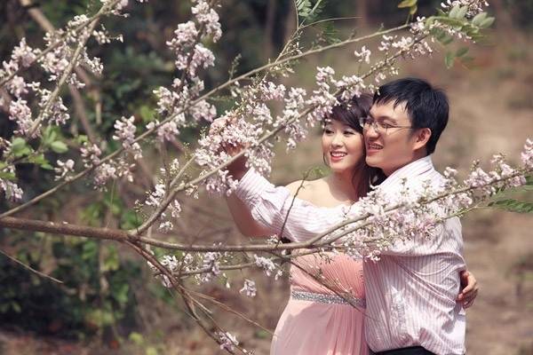 Những con đường ngập sắc hoa đỗ mai Vũng Tàu là điểm hẹn lãng mạn của nhiều cặp đôi