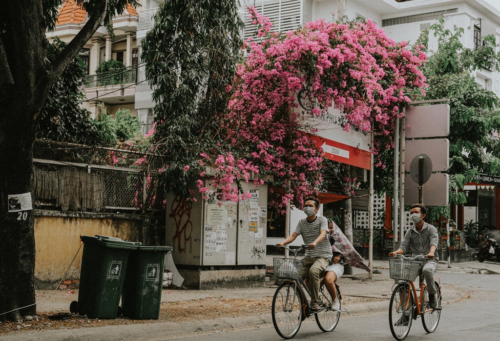 hoa-giay-khoe-sac-tren-goc-pho-sai-thanh-ivivu-9