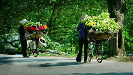 Nét đẹp Hà Nội qua những gánh hàng hoa rong ruổi trên phố