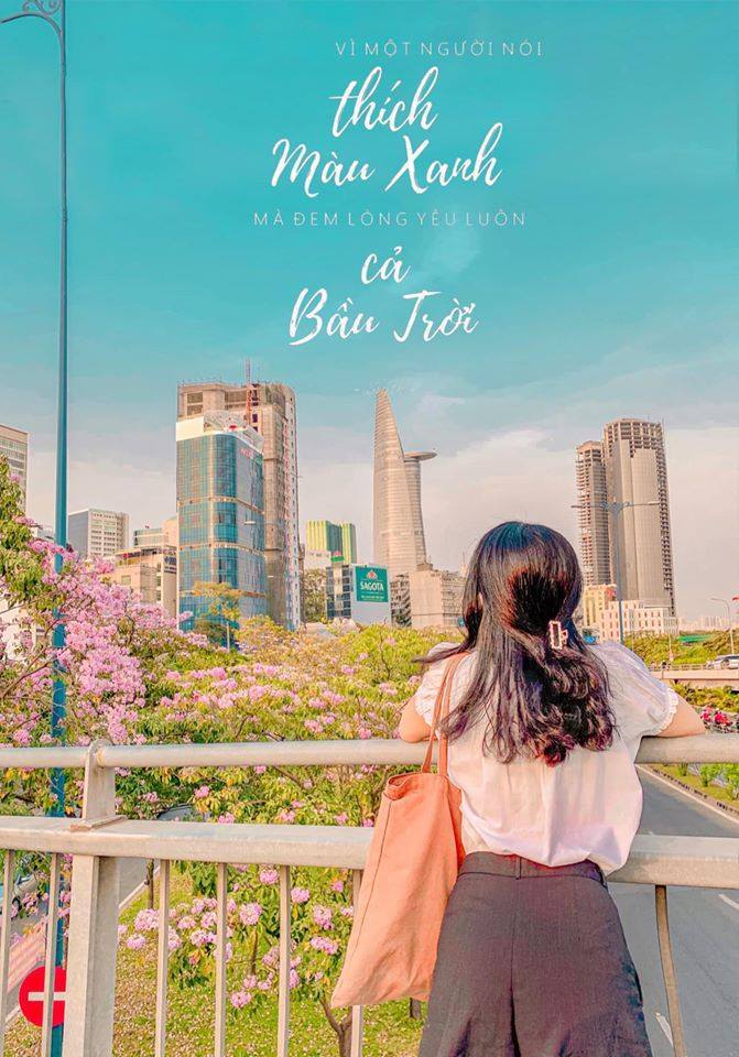Hoa kèn hồng Sài Gòn nở rộ trên đường phố