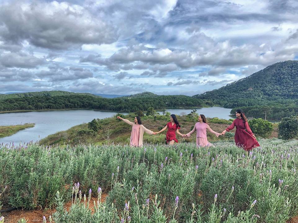 Check-in vườn hoa lavender Đà Lạt mùa hè