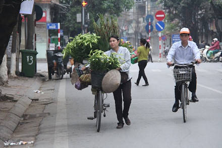 Hoa loa kèn Hà Nội rong ruổi trên xe đạp tại các tuyến phố như Phố Huế, Tô Hiến Thành