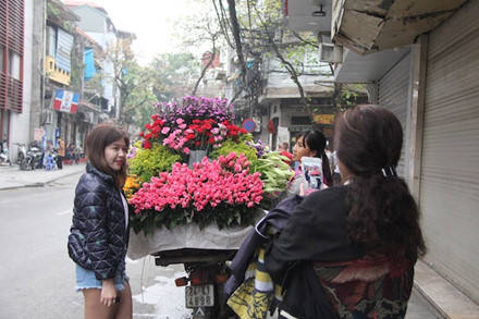 Loài hoa báo hè này còn thu hút khách du lịch tranh thủ lưu giữ cho mình những bức ảnh tươi mới qua màu sắc tươi mới và hương thơm dịu ngọt.