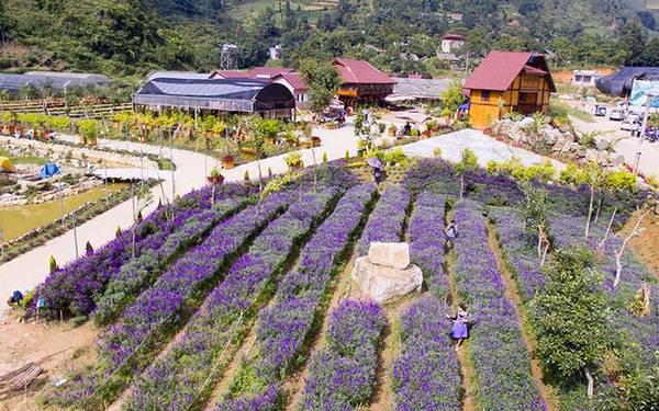 Phí vào tham quan, chụp ảnh là 30.000 đồng một khách.
