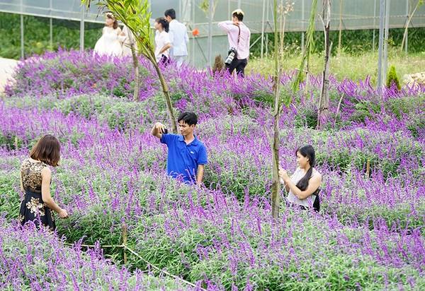 Du khách đến nơi đây chủ yếu là giới trẻ.