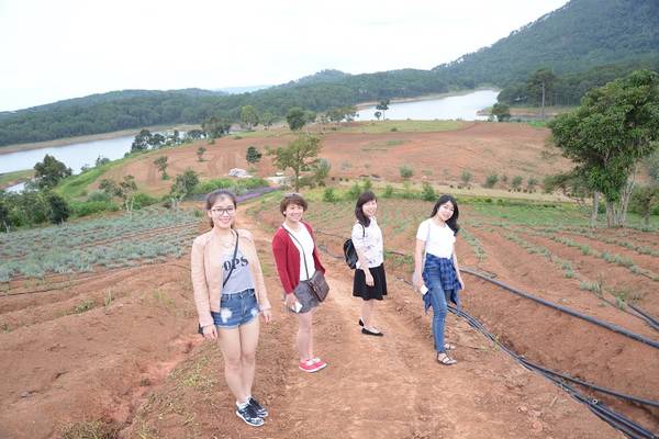 Nhiều bạn trẻ check-in tại cánh đồng hoa lavender Đà Lạt