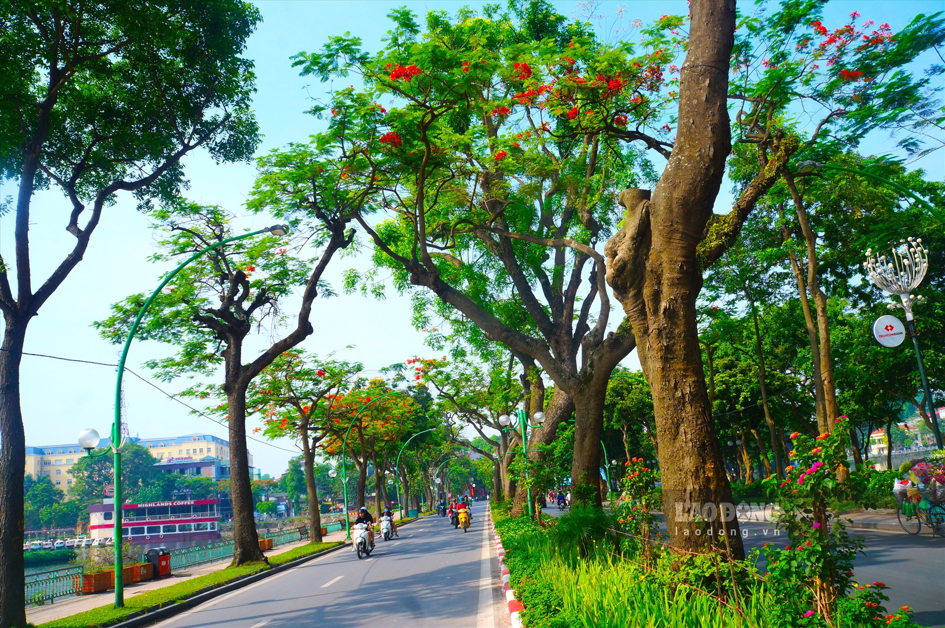 Ảnh: laodong