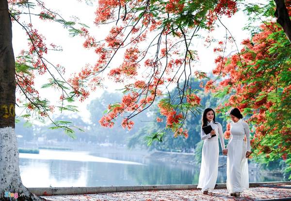 Các bạn nữ sinh mặc áo dài lưu giữ kỷ niệm đẹp bên hoa phượng đỏ Hà Nội