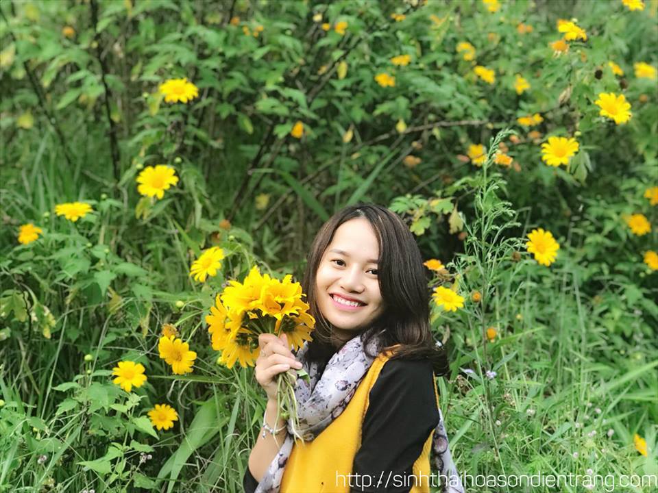 Vườn hoa đẹp tại Hoa Điền Sơn Trang Đà Lạt Vườn hoa đẹp tại Hoa Điền Sơn Trang Đà Lạt