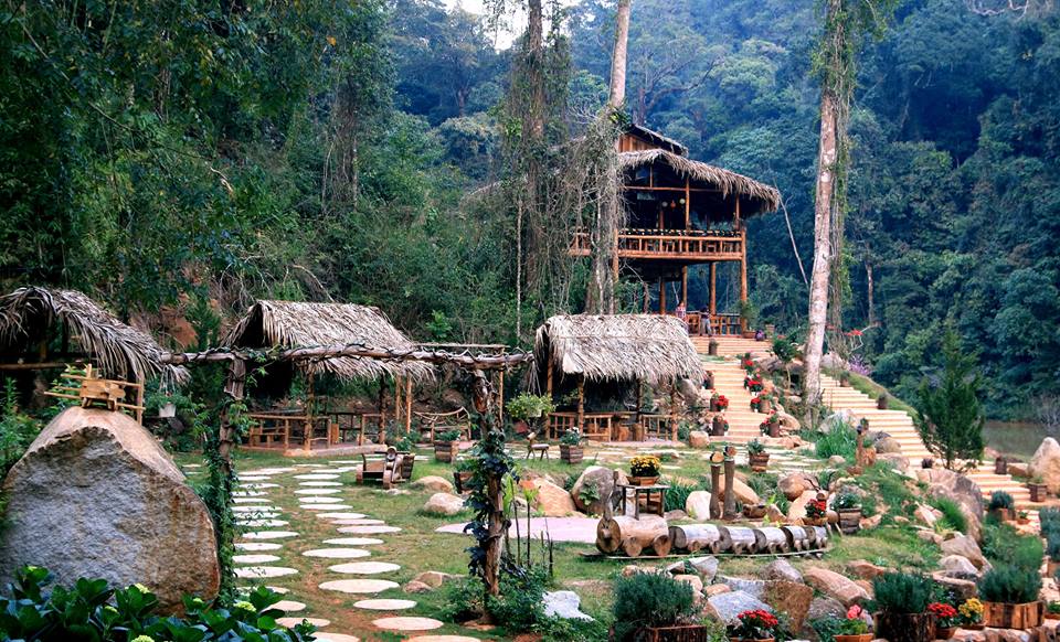 Ảnh: FB Hoa Điền Sơn Trang