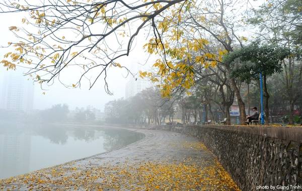 Khung cảnh yên bình thơ mộng của mùa hoa sưa Hà Nội