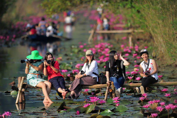 Bạn trẻ chụp ảnh hoa súng chùa Hương - Ảnh