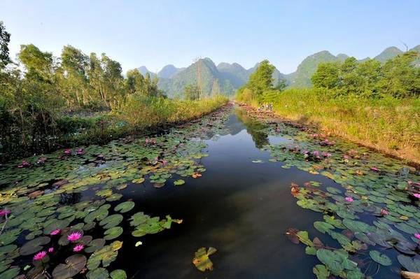 Đã từ lâu, chùa Hương là điểm hò hẹn mùa thu của những tay săn ảnh hay những người có tâm hồn yêu thiên nhiên bởi đó là thời điểm hoa súng dọc suối Yến bung nở cánh hồng, tạo nên cảnh tượng tuyệt đẹp. Ảnh: Lê Tuấn